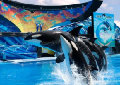 Spend Your Day at Seaworld Orlando