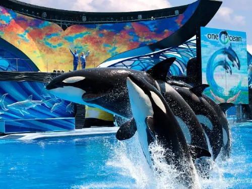 Spend Your Day at  Seaworld Orlando