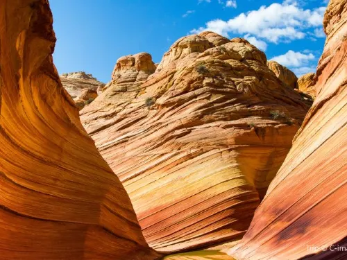 Everything You Need to Tour the Antelope Canyon