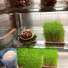 蜀大侠火锅(四川北路店) 여행 사진