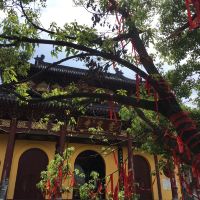 評論圖片 8