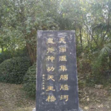評論圖片 4