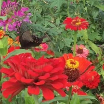 評論圖片 4