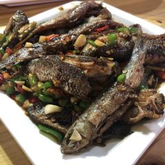 GEN YI FAN PU ER SHI NIAN LAO DIAN User Photo