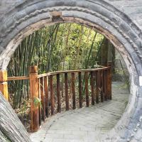 評論圖片 7