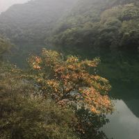評論圖片 7