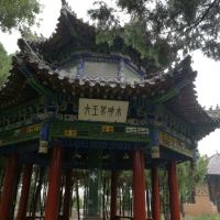 評論圖片 5