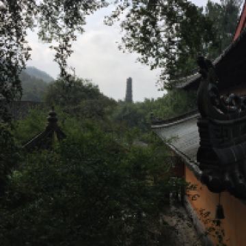 評論圖片 5