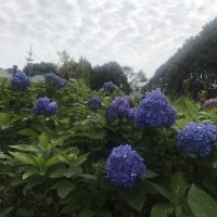 評論圖片 2
