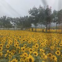 評論圖片 4