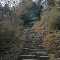 評論圖片 8