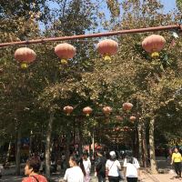 評論圖片 9