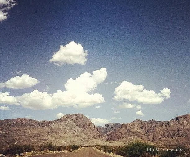 10 Unique Things You Probably Never Knew About Texas