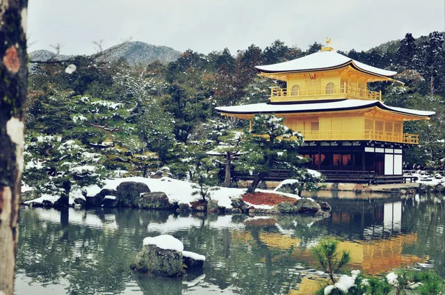 Among All the World Heritage Sites in Kyoto, Which Should You Choose?