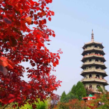 評論圖片 4