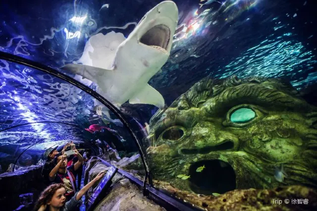 Adventure Outdoors: Wild Life & Adventures in Sydney 2025