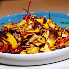 云崖兔酒楼 User Photo