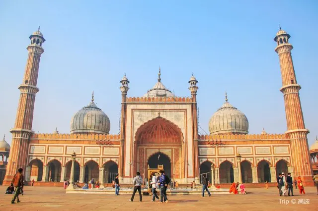 Everything You Need to Know before Traveling to New Delhi