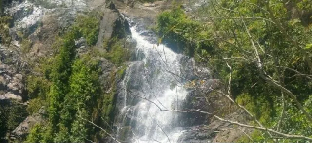 Gondwana Rainforests and More: Australia Rainforests