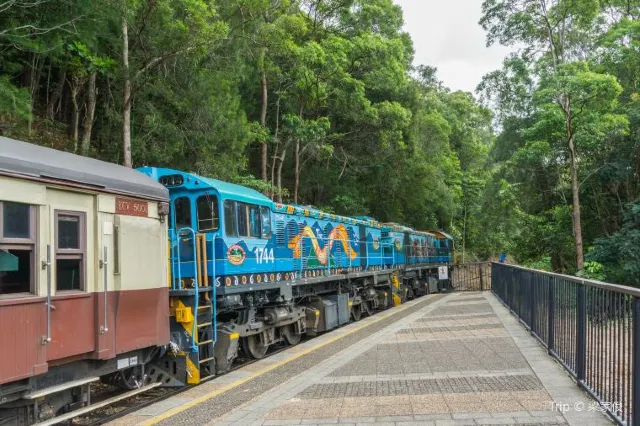 Gondwana Rainforests and More: Australia Rainforests