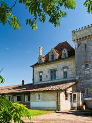 Wine & Trade Museum