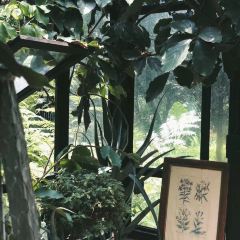 The Ironwood User Photo