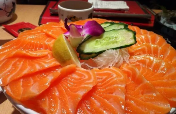 滄陽生態三文魚莊