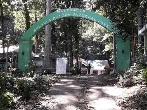 Bulabog-Putian Natural Park