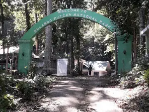 Bulabog-Putian-Nationalpark