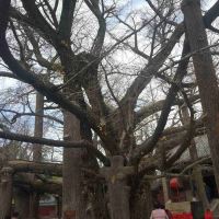 評論圖片 2