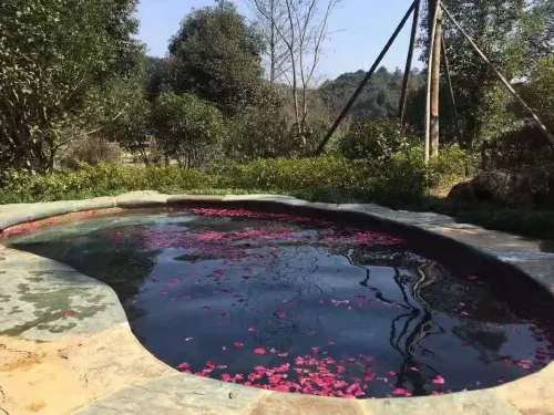 It's Getting Cold! People of Wuhan, Please Pay Attention to This Hot Spring Guide