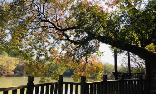 Bada Shanren Meihu Lake Scenic Spot