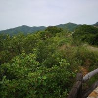 評論圖片 3