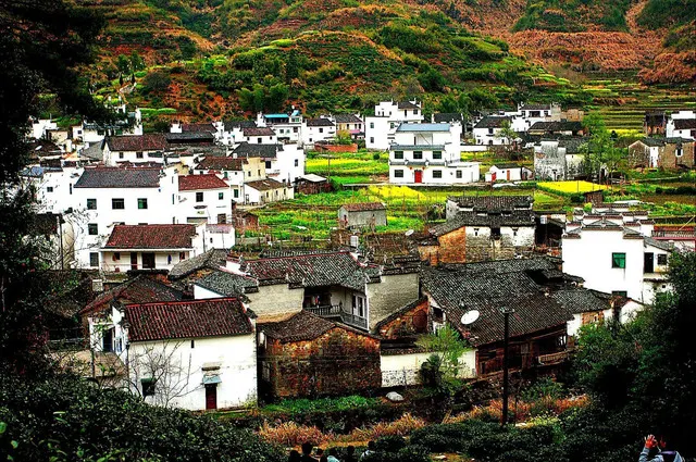 The White Walled-Black Roofed Huipai Village with Horse-Head Walls: You Must Come to Wuyuan to Appreciate It Properly.