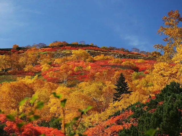 Hot Springs in the Snowy Mountains: Exploring Asahikawa and Sounkyo Gorge