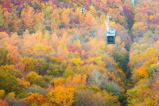 北海道紅葉 10大北海道賞楓景點 時間懶人包遊記攻略 Trip Com遊玩攻略