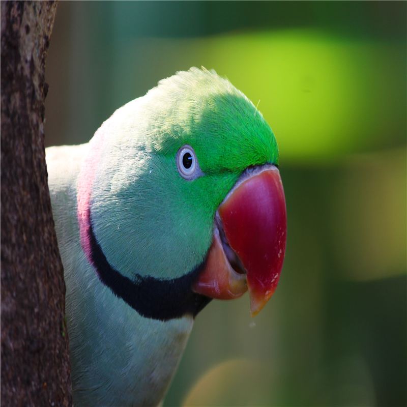 user-avatar