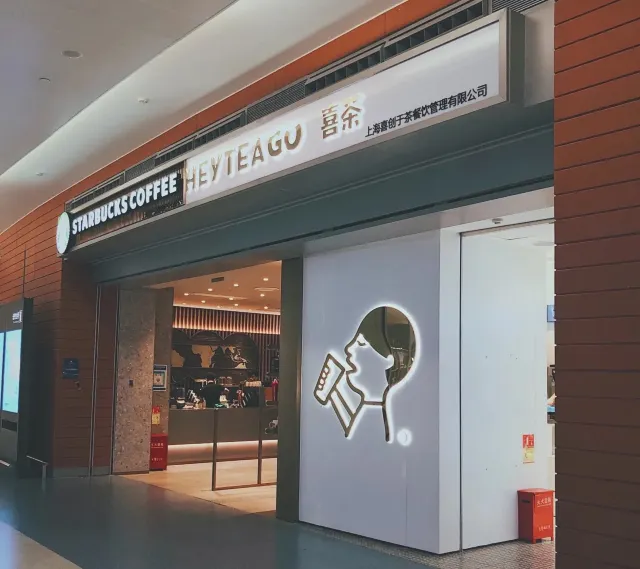 2024 Guide to Shanghai Pudong Airport Transit Visa & PVG Airport