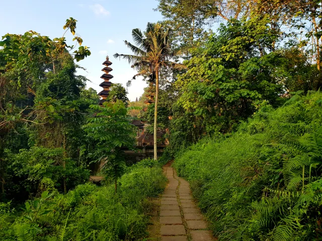 What To Do In Ubud With The Kids: 3 Easy Treks For The Family