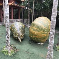 評論圖片 4