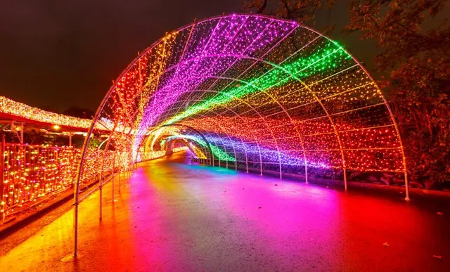 Winter Bucket List in Japan 2020: A Bright Color in Winter