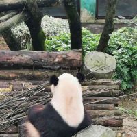 評論圖片 6