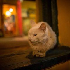 Ganglameduo User Photo