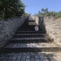評論圖片 5