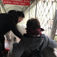 評論圖片 5