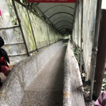 評論圖片 7