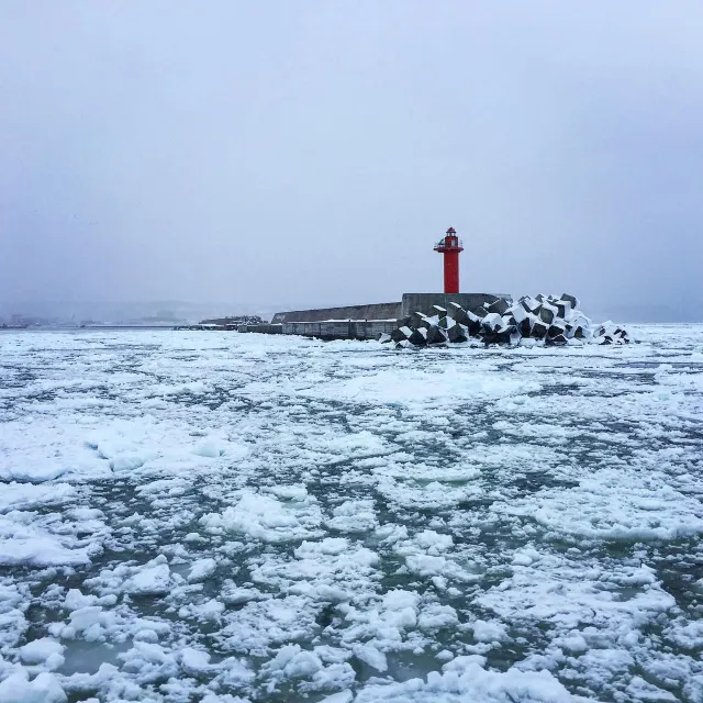 【北海道冬天自由行⛄】十大必到冬日限定北海道景點！