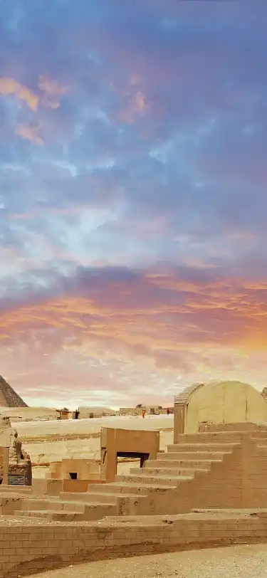 埃及的寵物友善酒店