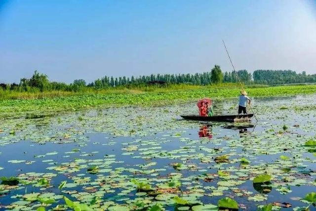 Shahe Wetland Park