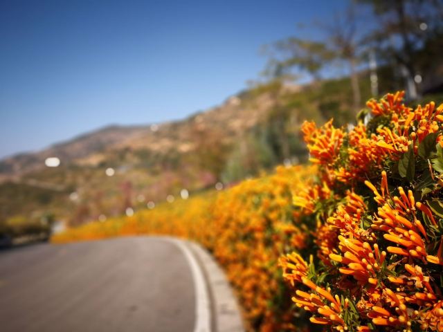Huawu Renjian Scenic Area in Panzhihua
